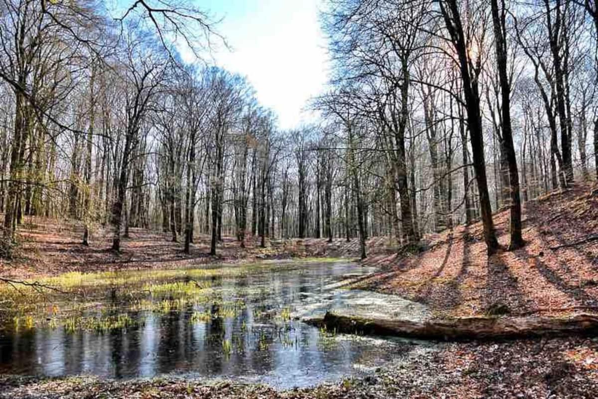 De Eekhoorn Villa Putten Dış mekan fotoğraf